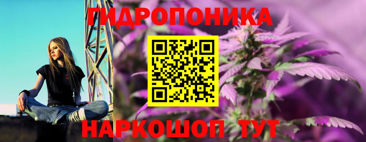 Шишки марихуана Amnesia Борисоглебск